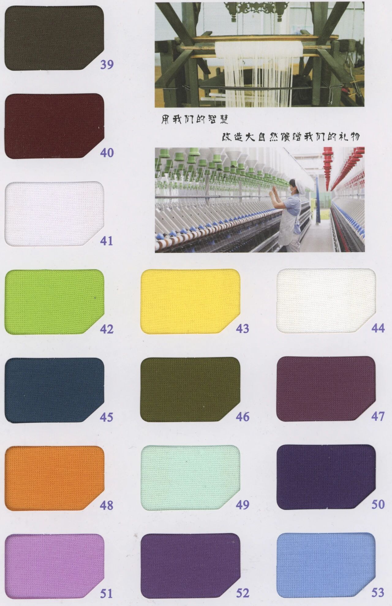 31011 - Thun nỉ Poly chải nhám (220gsm)