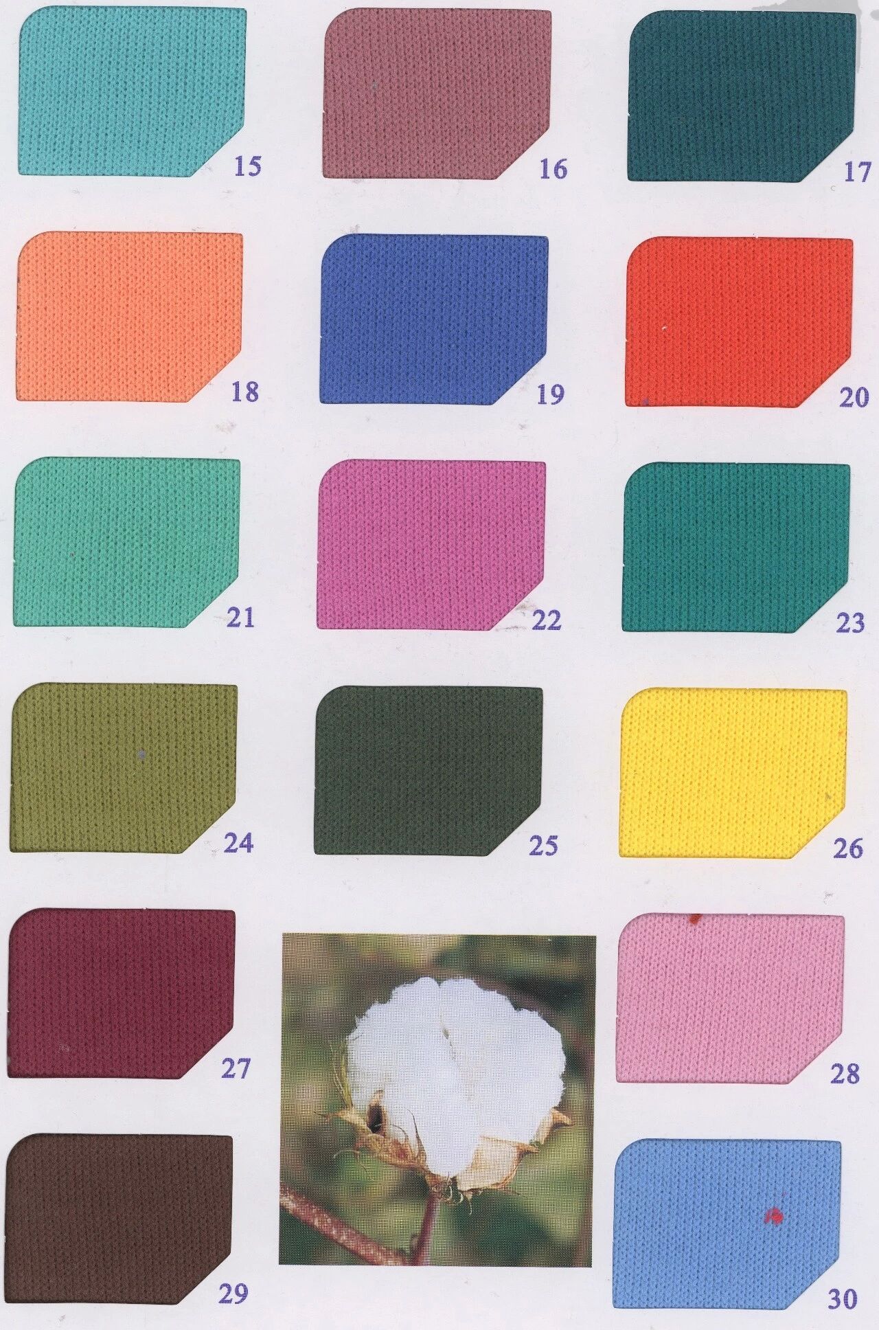 38848 - Cotton chải nhám