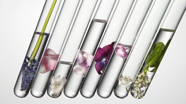 4 Nhóm Hoạt Chất Quyết Định >90% Hiệu Quả Skincare
