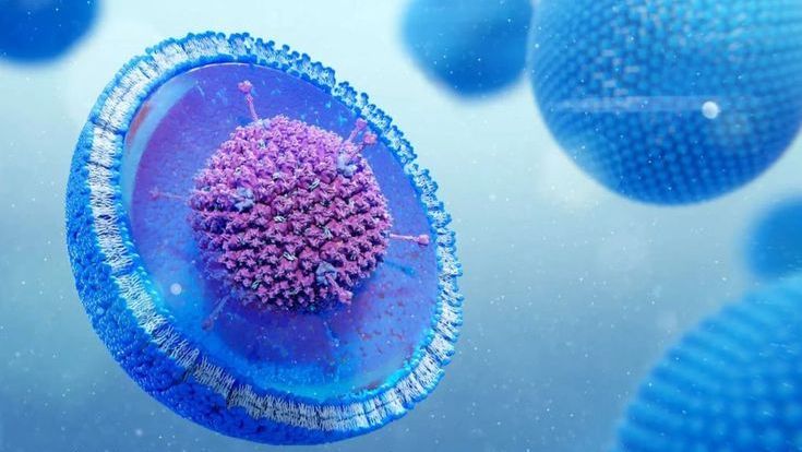 Liposome, niosome hay NLC: Nào 