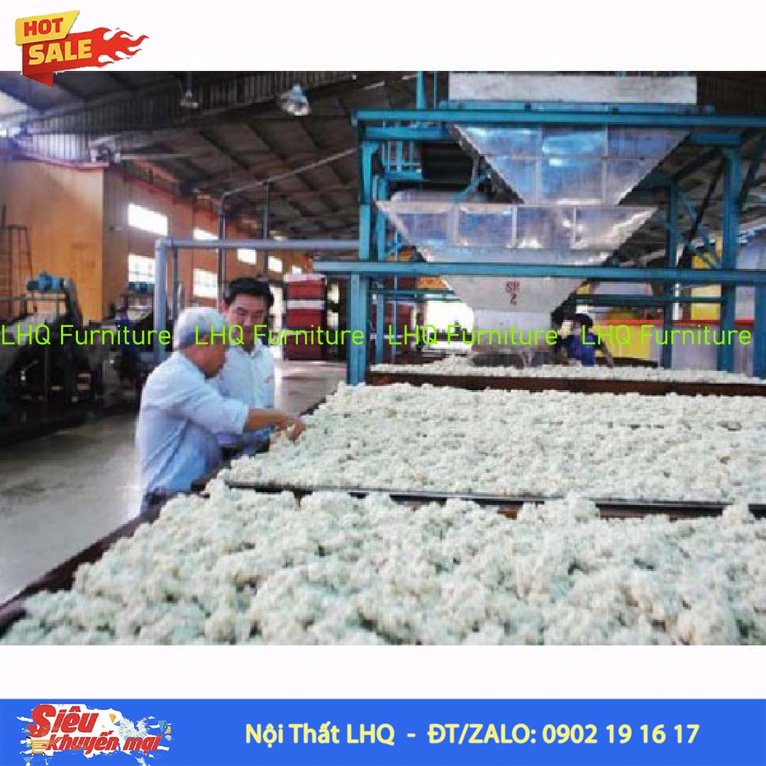 Diễn đàn Cao su – Nơi chia sẻ kiến thức và kinh nghiệm về ngành cao su