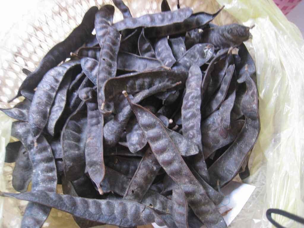 100g Bồ Kết thảo mộc xông phòng cao cấp thanh lọc không khí ẩm mốc an toàn cho người sử dụng