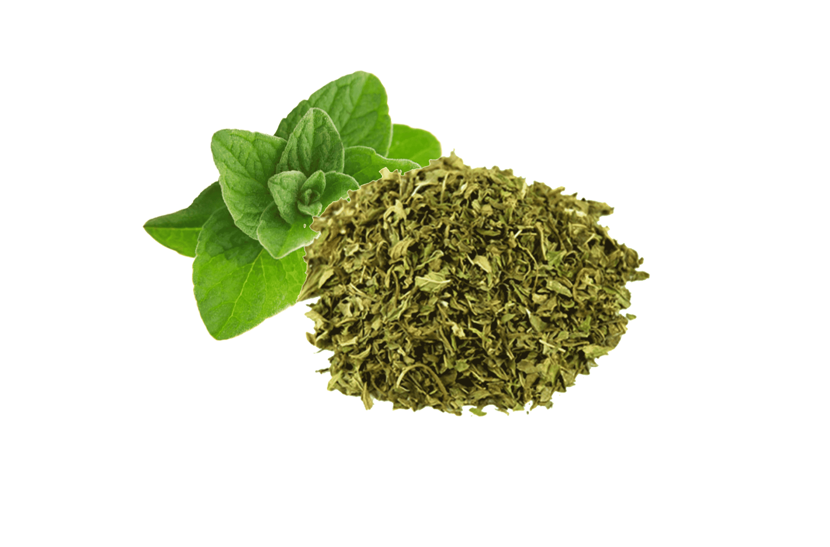 100g Lá Bạc Hà phơi khô thảo mộc xông phòng cao cấp thanh lọc không khí ẩm mốc an toàn cho người sử dụng