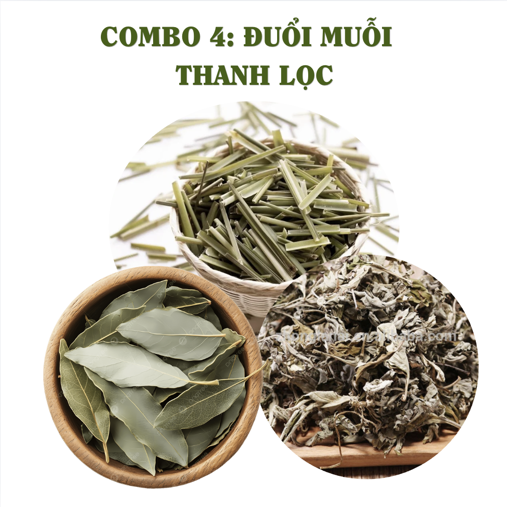 100g Combo trộn đuổi muỗi combo 4 thảo mộc xông phòng cao cấp thanh lọc không khí ẩm mốc an toàn cho người sử dụng