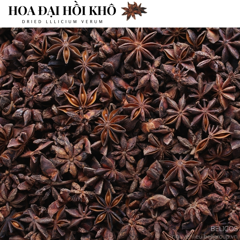 100g Hoa Hồi phơi khô thảo mộc xông phòng cao cấp thanh lọc không khí ẩm mốc an toàn cho người sử dụng