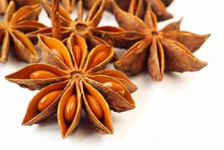 100g Hoa Hồi phơi khô thảo mộc xông phòng cao cấp thanh lọc không khí ẩm mốc an toàn cho người sử dụng