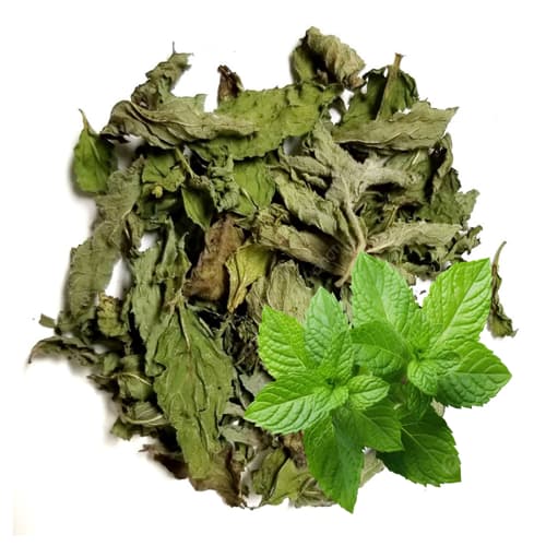100g Lá Bạc Hà phơi khô thảo mộc xông phòng cao cấp thanh lọc không khí ẩm mốc an toàn cho người sử dụng