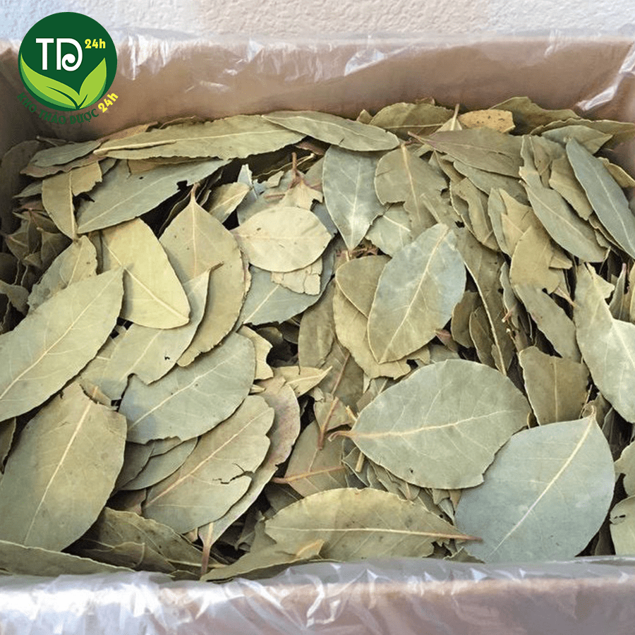 100g Lá Quế Khô thảo mộc xông phòng cao cấp thanh lọc không khí ẩm mốc an toàn cho người sử dụng