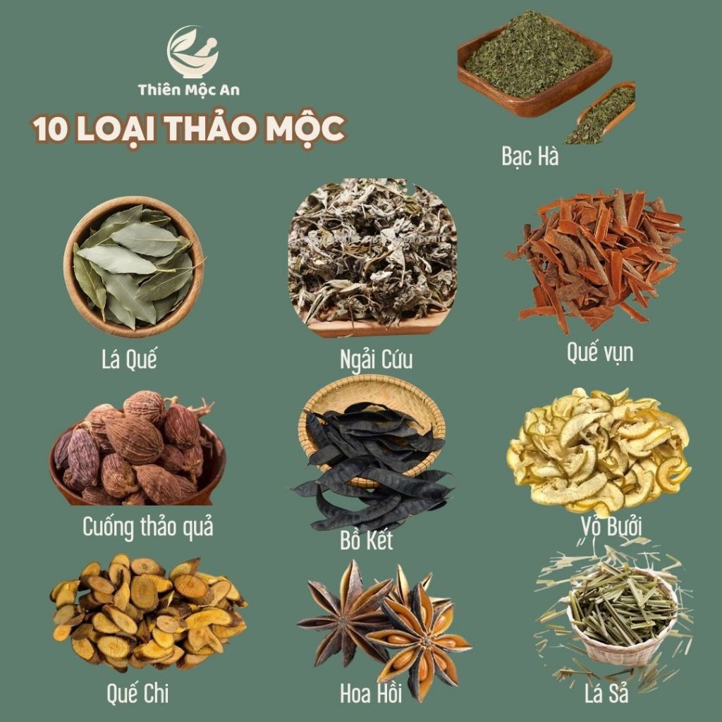 100g Combo thảo mộc thanh lọc xông phòng cao cấp thanh lọc không khí ẩm mốc an toàn cho người sử dụng