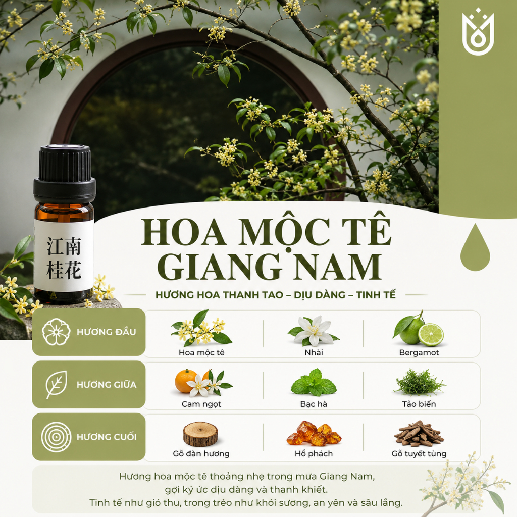 Hương Liệu Tinh Dầu Chuyên Dụng Làm Nến Thơm Cao Cấp