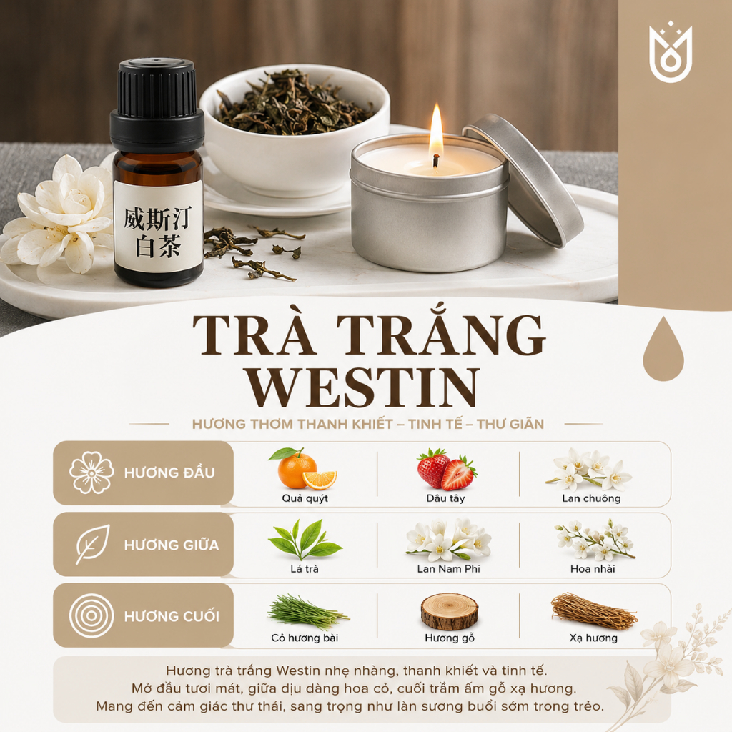 Hương Liệu Tinh Dầu Chuyên Dụng Làm Nến Thơm Cao Cấp
