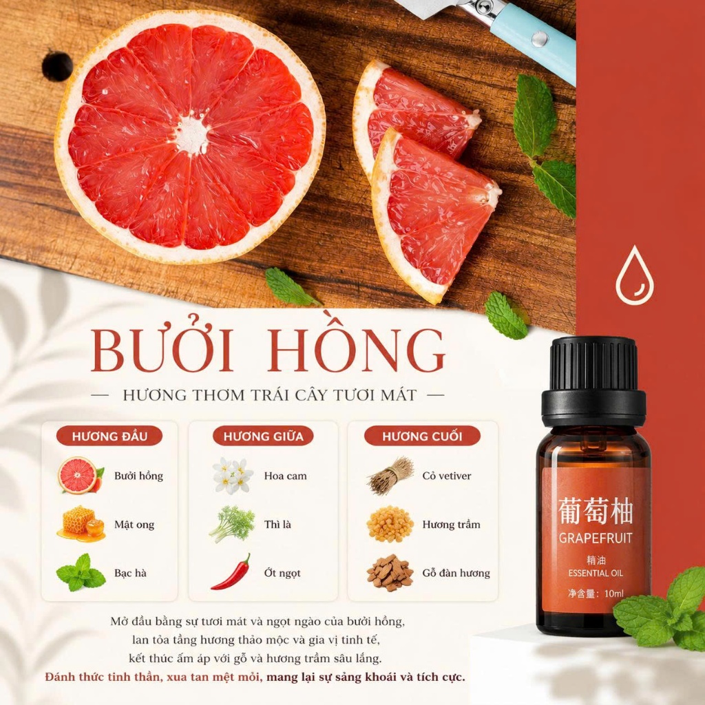 Hương Liệu Tinh Dầu Chuyên Dụng Làm Nến Thơm Cao Cấp