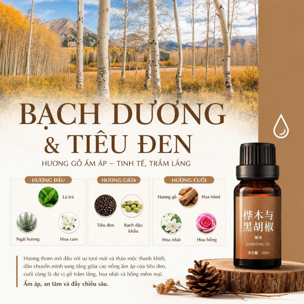 Hương Liệu Tinh Dầu Chuyên Dụng Làm Nến Thơm Cao Cấp