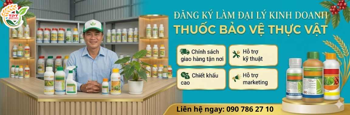 Khuyến mãi thiết bị nhà bếp cao cấp MALLOCA