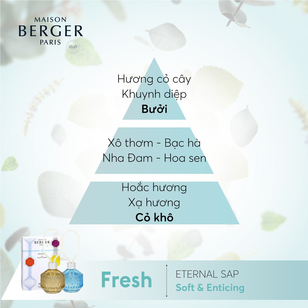 Maison Berger - Lọ tinh dầu khuếch tán hương Matali Blue - 180ml