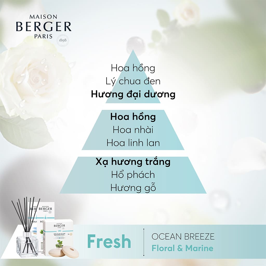 MAISON BERGER - Bộ tinh dầu xe hơi hương Ocean Breeze - 2 cái