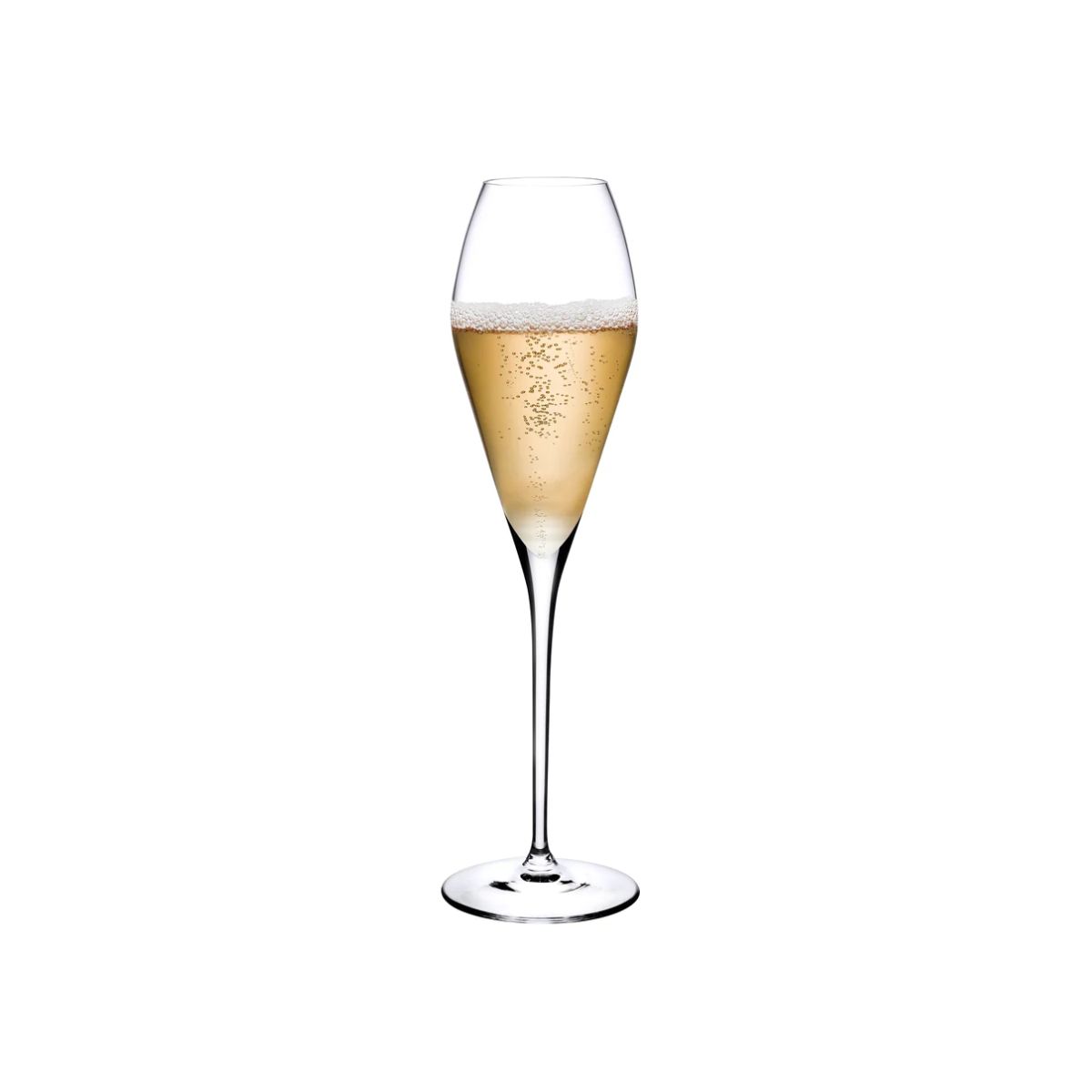 NUDE - Bộ ly Fantasy Champagne - 6 cái