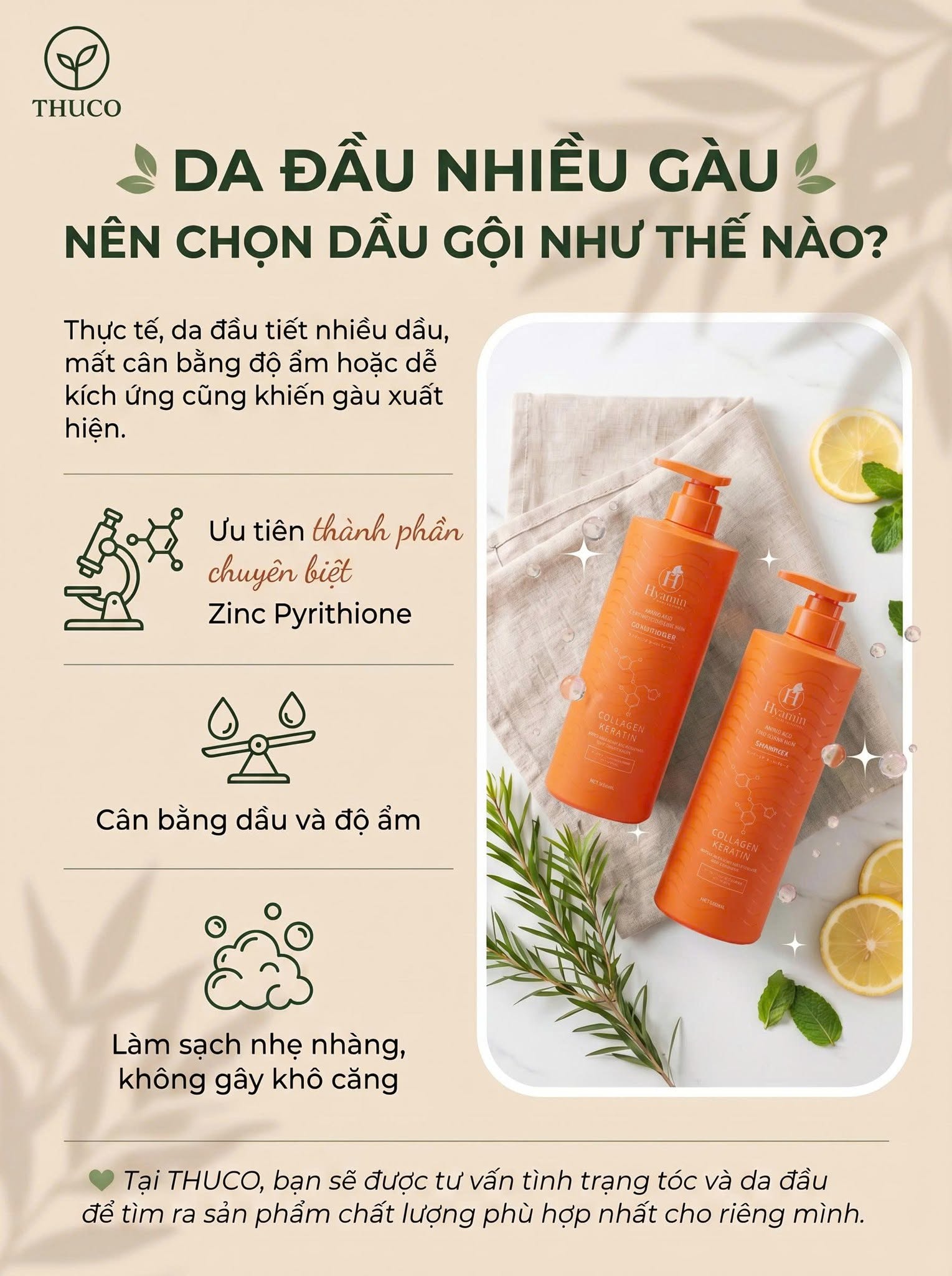 Da Đầu Nhiều Gàu Nên Chọn Dầu Gội Như Thế Nào?