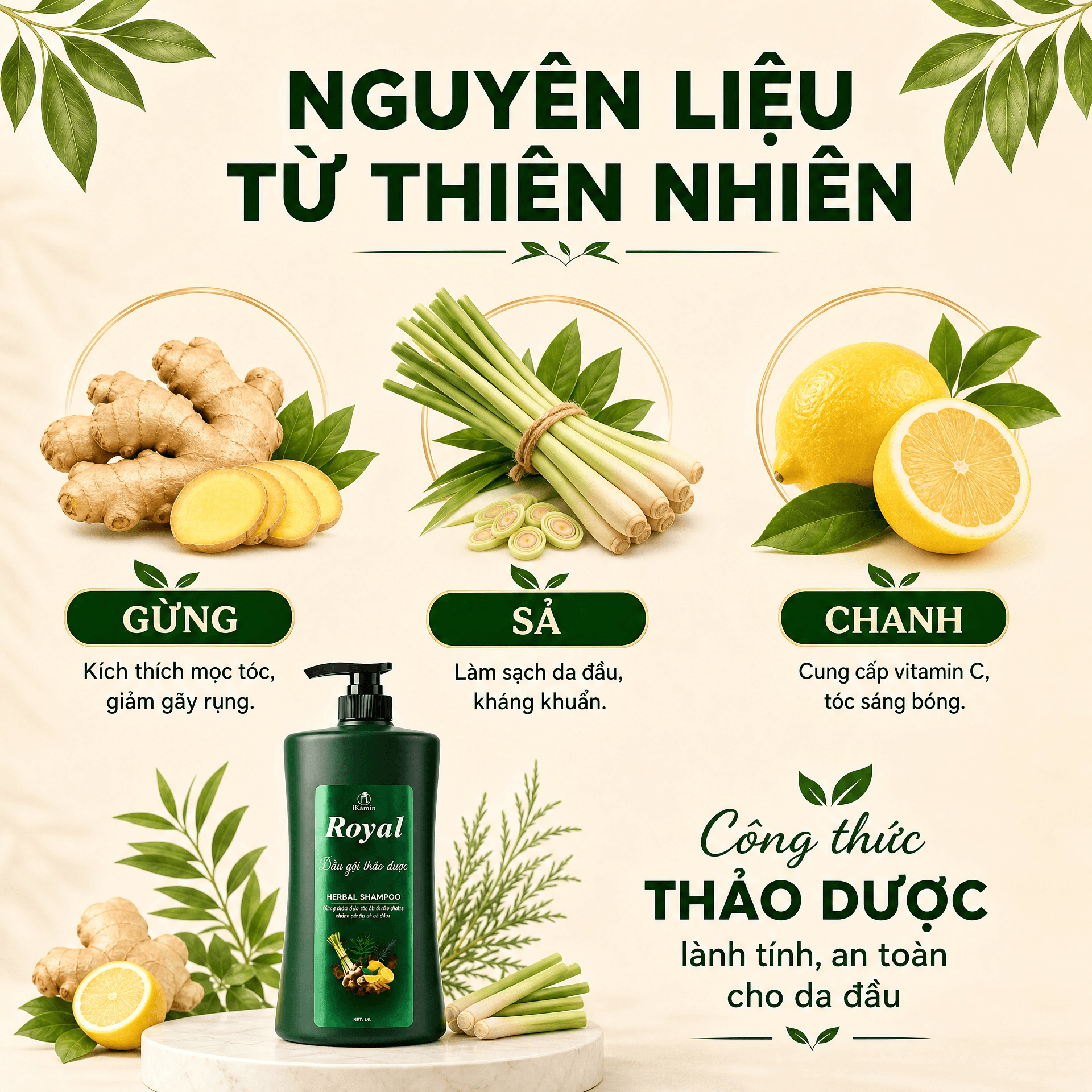 Cặp dầu gội xả Royal thảo dược làm sạch sâu dưỡng tóc mềm mượt 800ml