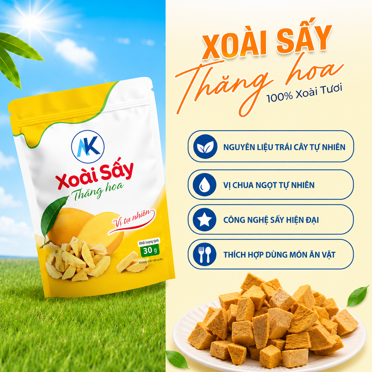 Combo ăn vặt dinh dưỡng không đường xoài, mít, sầu riêng, sữa chua sấy thăng hoa AnKhang Foods