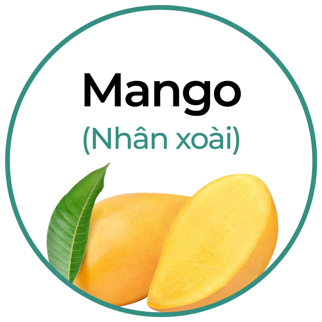 Combo sữa chua sấy thăng hoa vị chua ngọt từ sữa tươi nguyên chất gói 20g AnKhang Foods