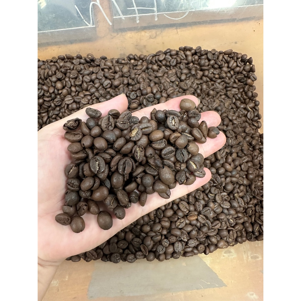 Cà phê rang mộc hạt Robusta nguyên chất loại 1 vị đắng đậm hậu hương thơm nồng AnKhang Foods