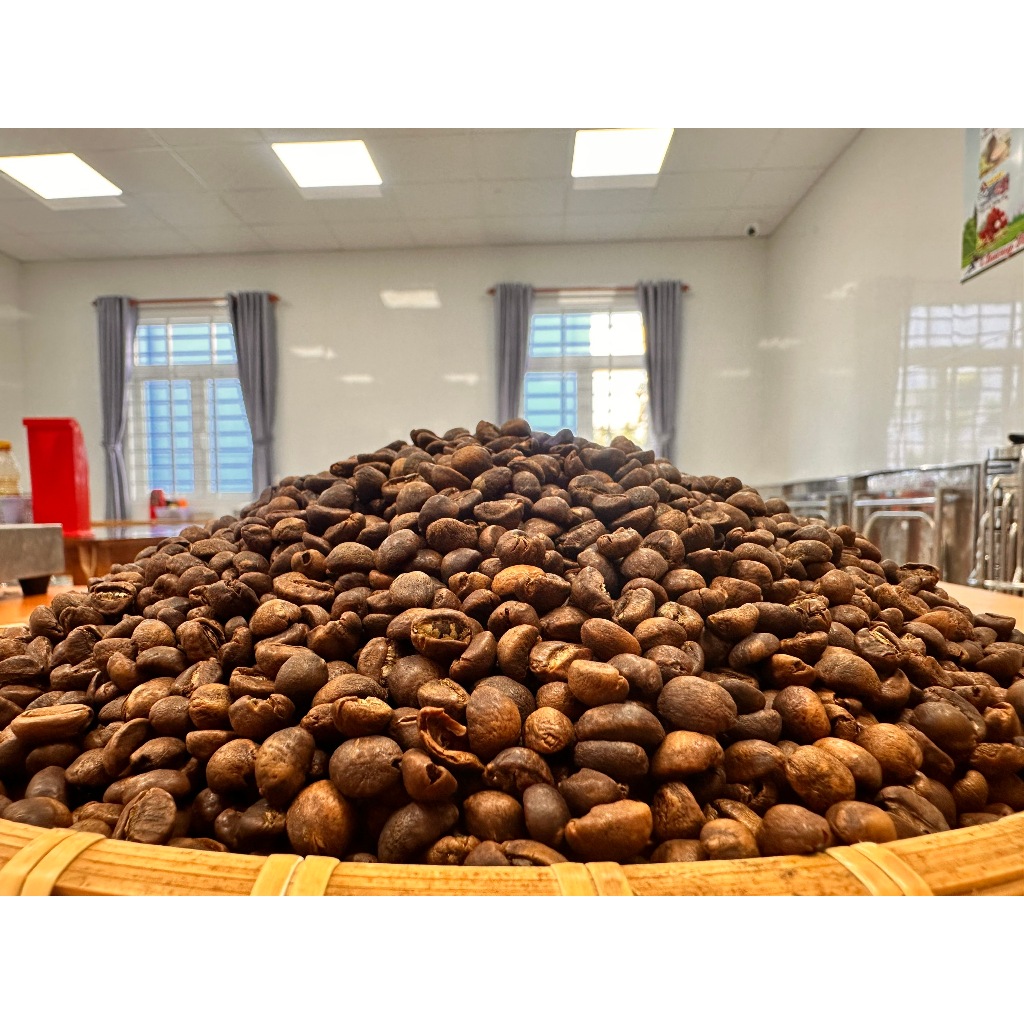 Cà phê Robusta rang mộc nguyên chất loại đặc biệt 250g cafe truyền thống đậm đà AnKhang Foods
