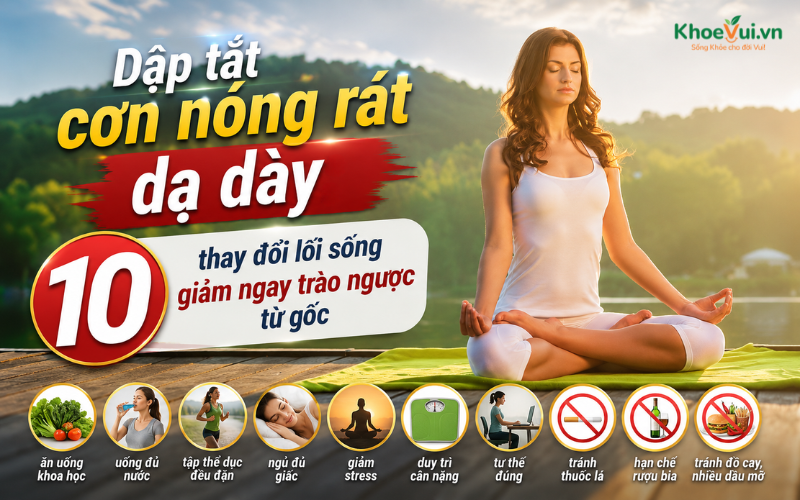 Dập tắt cơn nóng rát dạ dày: 10 thay đổi lối sống giảm ngay trào ngược từ gốc