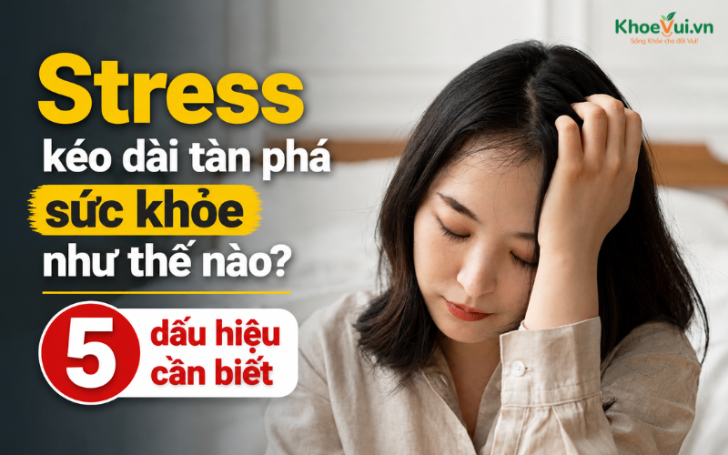 Stress kéo dài tàn phá sức khỏe như thế nào? 5 dấu hiệu cần biết