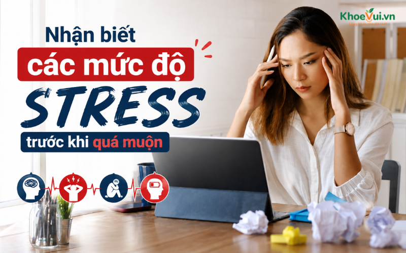 Nhận biết các mức độ stress trước khi quá muộn