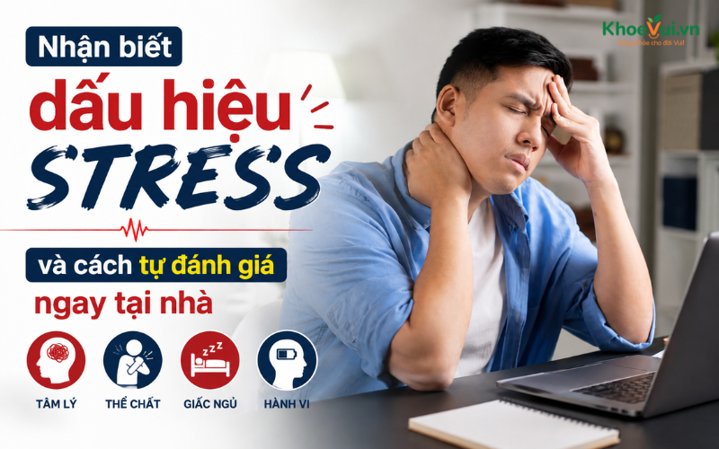 Nhận biết dấu hiệu stress và cách tự đánh giá ngay tại nhà