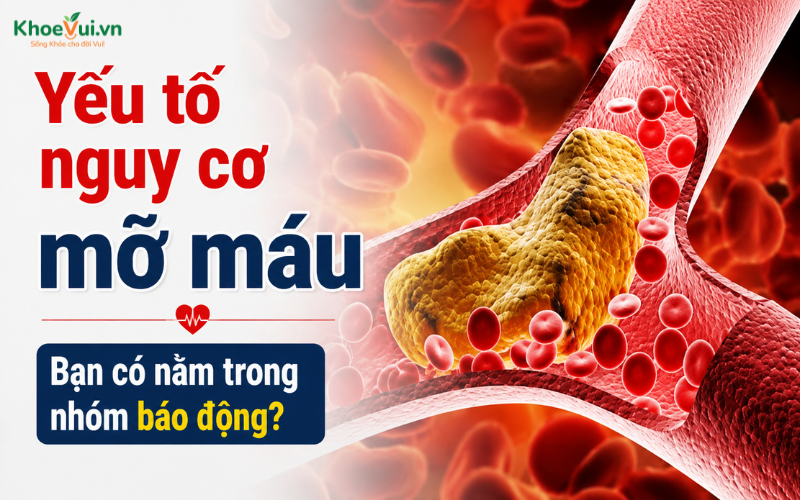 Yếu tố nguy cơ mỡ máu: Bạn có nằm trong nhóm báo động?