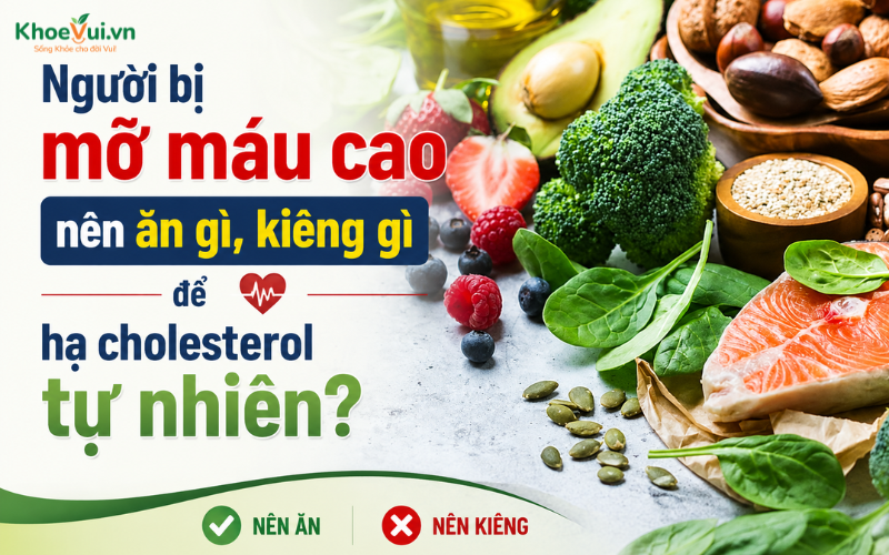 Người bị mỡ máu cao nên ăn gì, kiêng gì để hạ cholesterol tự nhiên?