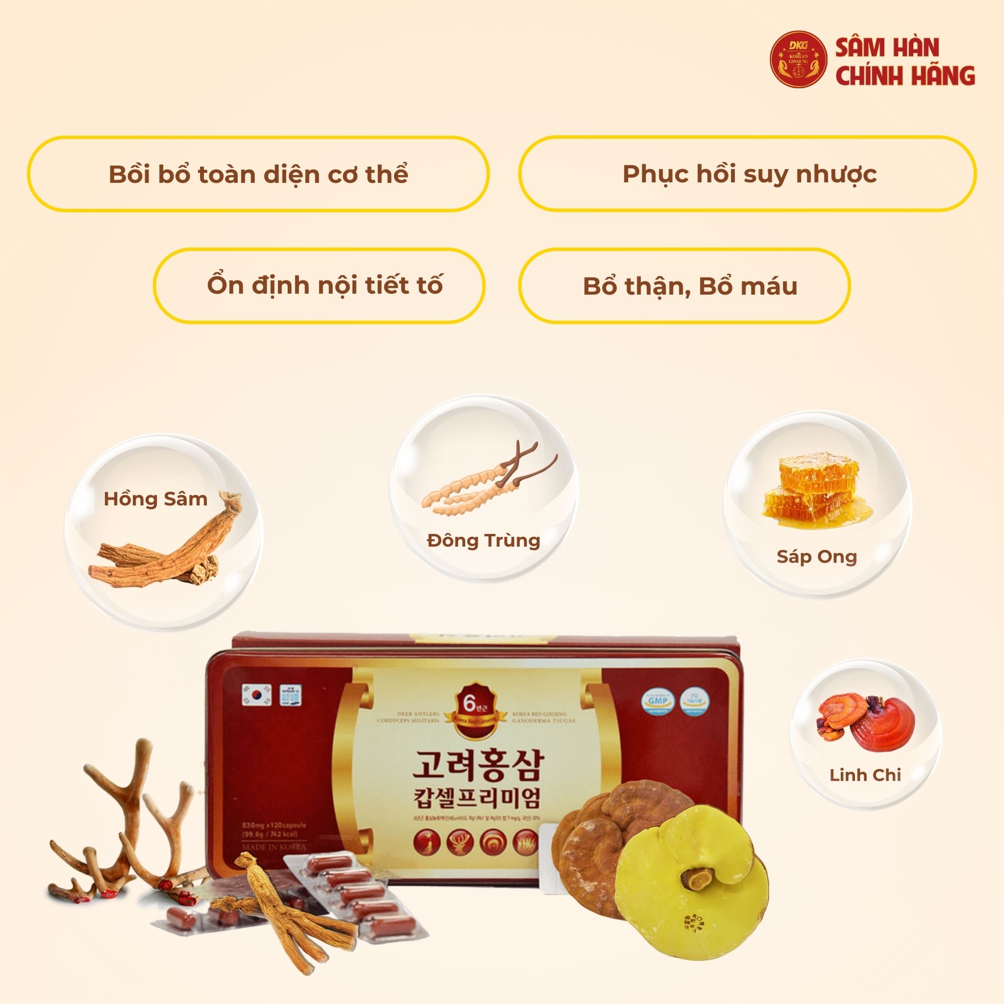 Viên hồng sâm cao cấp Hàn Quốc (Korea Red Ginseng Capsule Premium) 830mg*120 viên/hộp