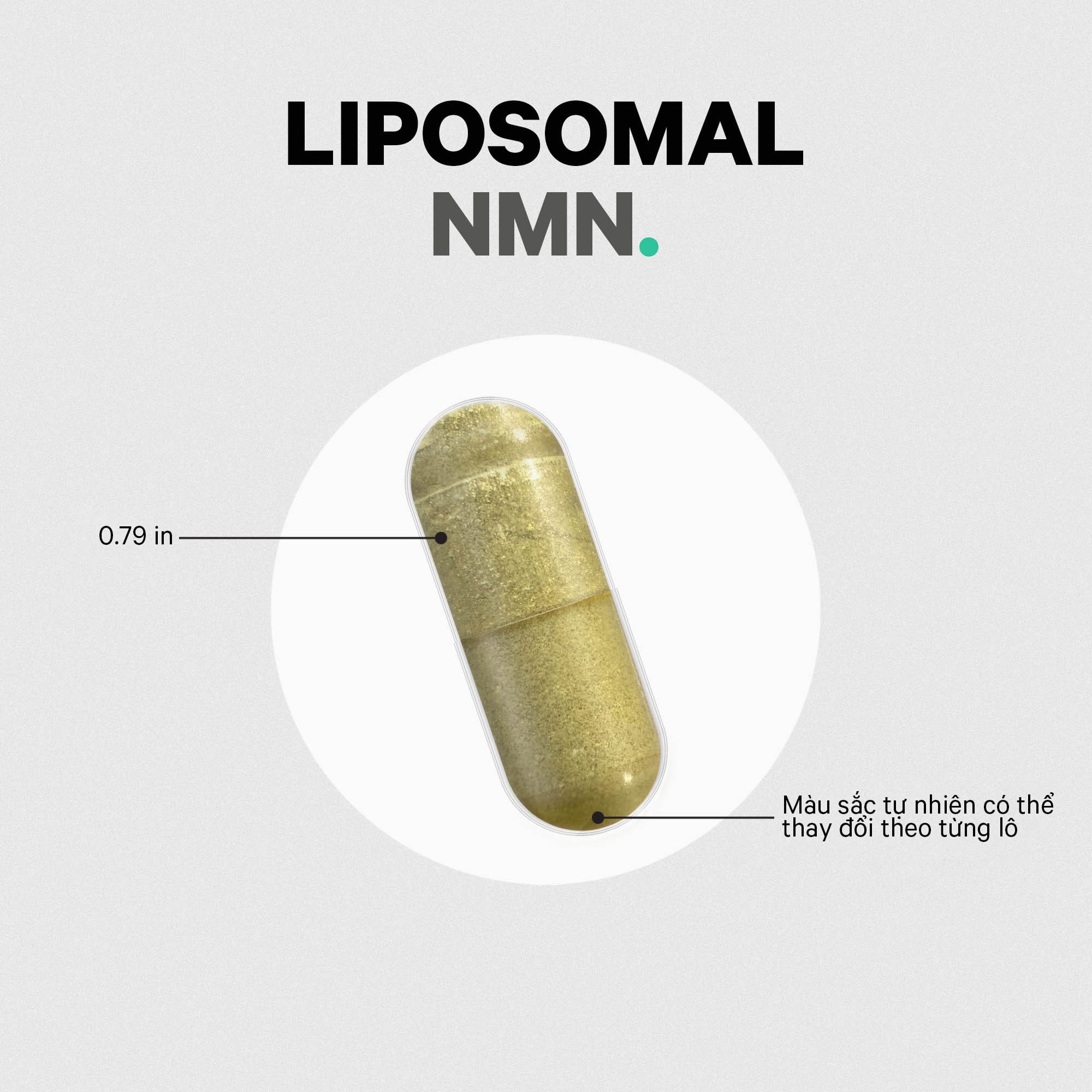 Liposomal NMN bổ sung NMN CODEAGE H/90 viên