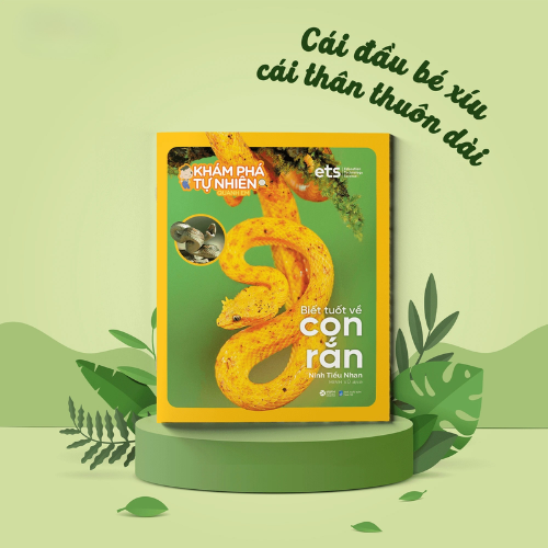 Bộ khám phá tự nhiên quanh em: Biết tuốt về con Rắn