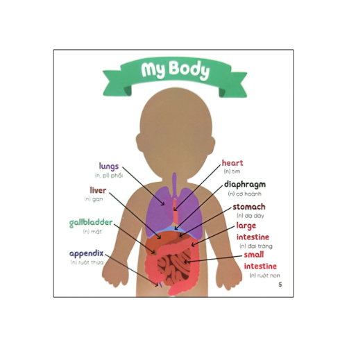 Nhà sinh hóa tương lai: My Doctor's Visit - Cơ thể & sức khỏe