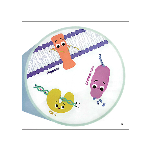Nhà sinh hóa tương lai: Enzymes - Trợ thủ đắc lực của quá trình trao đổi chất