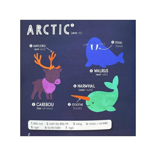 Steam words: Animals - Từ vựng về động vật