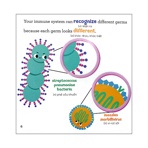 Nhà sinh hóa tương lai: Vaccines - Những cộng sự tài ba của hệ miễn dịch