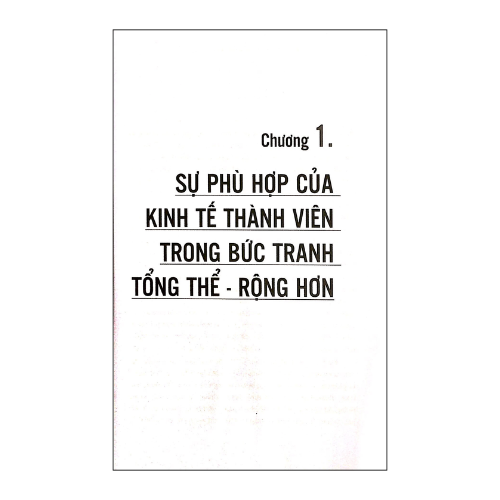 Kinh tế thành viên