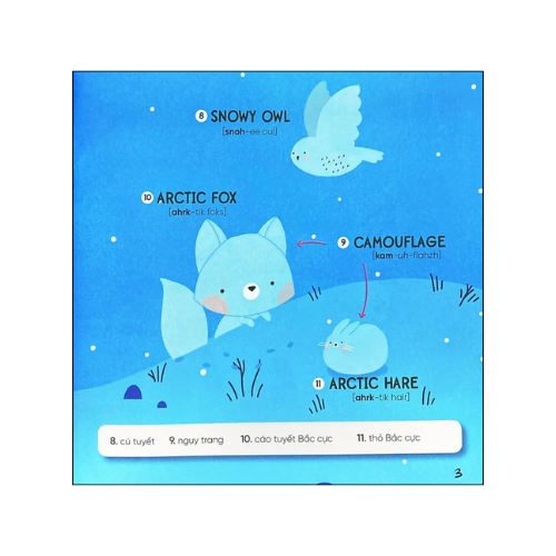Steam words: Animals - Từ vựng về động vật