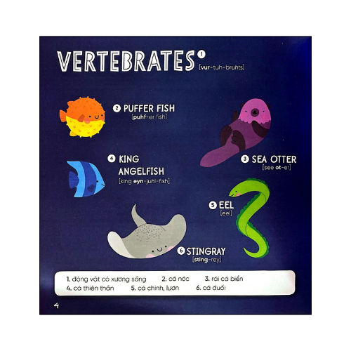 Steam words: Ocean - Từ vựng về đại dương