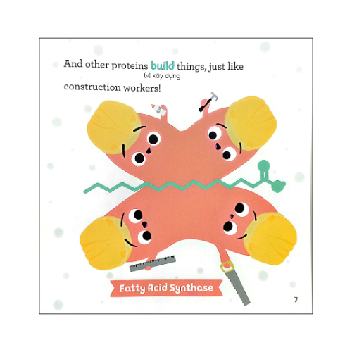 Nhà sinh hóa tương lai: Proteins - Những kẻ đa nhiệm tí hon