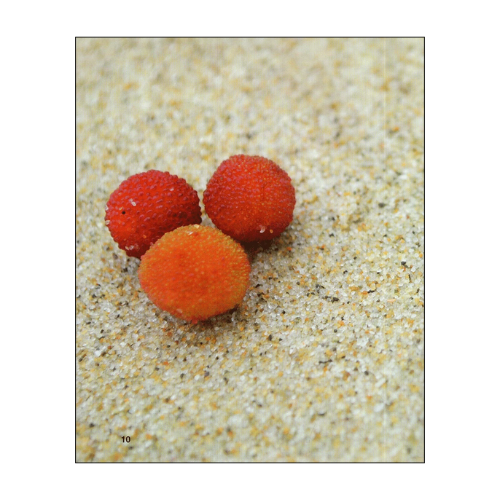 Đá nhọn vực sâu