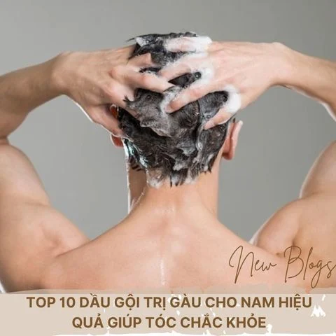 Top 10 dầu gội trị gàu cho nam hiệu quả giúp tóc chắc khỏe