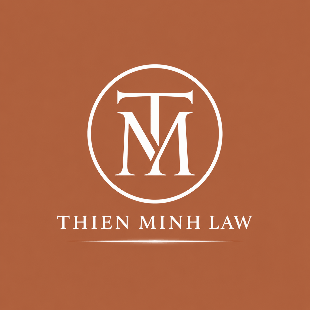 THIEN MINH LAW
