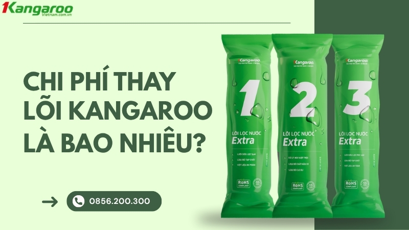 Chi phí thay lõi máy lọc nước Kangaroo