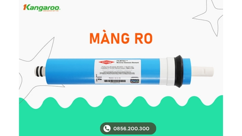 Màng RO Kangaroo