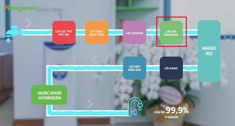 Cấu tạo lõi lọc Ion Exchange Kangaroo